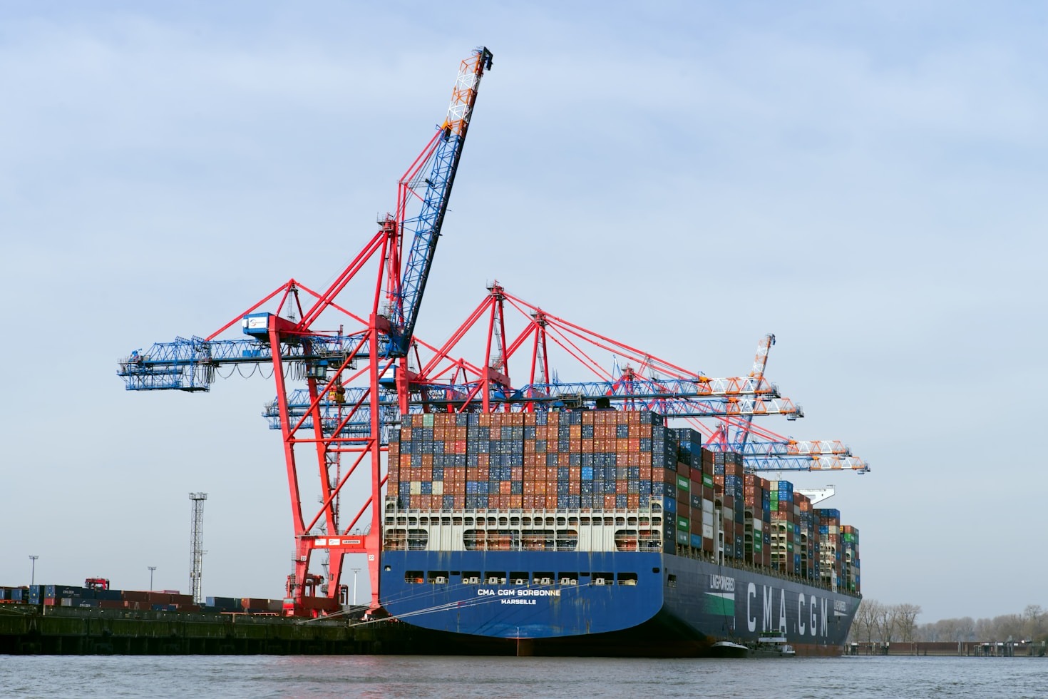 Navigating Tariffs and Regulations with RobiExim